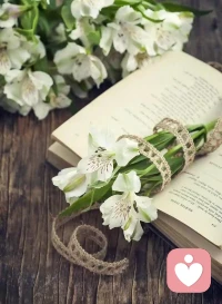 面对所有的现象
要体验内在

内在的问题不解决
非但无法改善外在的现象
且会制造更多问题
​配图