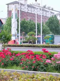 体能倒逼脑能，
体商决定胆商。
所以，体能训练是人生的必修课！
​打道回府配图