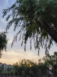 随着太阳的冉冉升起，运动也结束了，开始新的一天！