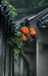改变，在于一点一滴的积累
在你察觉不到的时候
犹如孩子长大，犹如种子发芽开花
我们应安住于当下，
一个行为一个行为地改变
日积月累，就会有很大改变