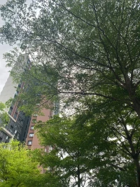 推窗见绿，清新空气盈满室内，仿佛与自然亲密相拥。在这绿色环绕之所，生活被赋予诗意，每一刻都能感受自然馈赠的宁静与美好。