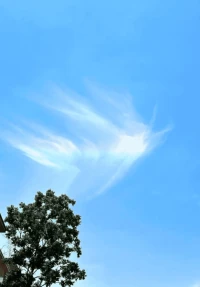 早安
內(nèi)為因，外為果。
我們經(jīng)歷的所有體驗(yàn)，
都是內(nèi)心的創(chuàng)造，
一切根源在內(nèi)心。
借鏡煉心，境隨心轉(zhuǎn)。配圖
