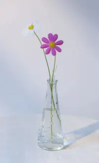 一個人的脾氣來了，福氣就走了，如果你是對的，就沒有必要生氣，如果你是錯的，你就沒有資格生氣，任何時候都不應該做自己情緒的奴隸，管理好自己的情緒，你就是優雅的，控制好自己的心態，你就是成功的配圖