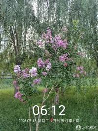没有什么东西是永恒不变的，
人生总是这样，
得失无常，再美好的东西，
也无法拥有太久。
再痛苦的东西也会离你远去。
所有的经历，都是一种修炼，
等走远了再回首，会发现，
这一切会让我们变得坚强和清醒。
缘合则聚，缘灭则散，
不执于苦，不执于乐，
不悲过去，不贪未来，
怀平和之心，恬淡的活在每一个当下。