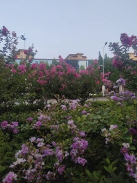 早安
多一点快乐，少一点烦恼
累了就睡觉，醒了就微笑
生活怎么样，自己放调料