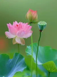 早安

别让挫折带走你的微笑和最初的梦想。