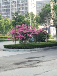 情绪像天边的晚霞，时而热烈明艳，映照满心欢喜；时而黯淡隐晦，藏着不为人知的落寞。配图