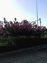 接受不完美，允許“有距離”
 
- 沒有絕對“完美”的關系，小摩擦很正常，不必追求“零矛盾”，重點是矛盾后的解決方式。