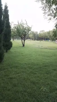 認識情緒的核心，是從“對抗”轉向“理解”——當我們能看懂情緒在說什么，就不會被它困住，反而能借助情緒的力量更好地生活。