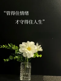 早安
之所以不開悟，
是因為執迷了，
所以叫“執迷不悟”！