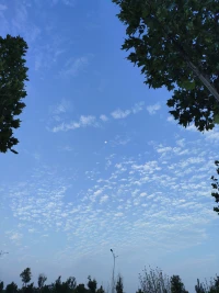 早晨六點鐘的月亮配圖