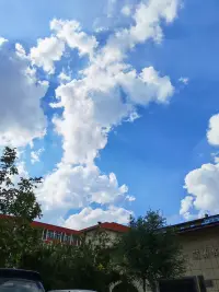 過度思考未來無異于殺死現(xiàn)在的自己，言未出結局已演千百遍，身未動心中已過萬重山，行未果假象苦難愁不展，事已畢過往仍在腦中演，生而悅己，而非困于他人！配圖