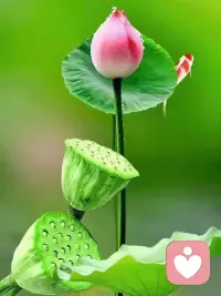 梦想之路没有捷径；
只能脚踏实地前行；
每一个难关都是历练；
每一次跌倒都是成长；
待到千帆过尽后；
便能收获最美的风景！配图