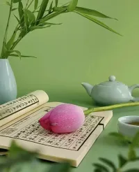人生最难得的，
就是“拥有”和“清醒”同在，
一边得到，一边知足。配图