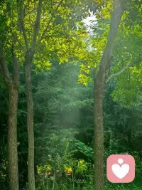 早安
梦想之路没有捷径
只能脚踏实地前行
每一个难关都是历练
每一次跌倒都是成长
待到千帆过尽后
便能收获最美的风景配图