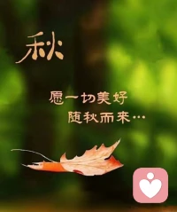 當我們看到一朵花，一棵樹，一塊石頭……看到各種人、事、物背后的本質一模一樣。內在的臣服、感恩和恭敬心自然升起，這是小我的臣服之旅。
借由臣服某些相，回歸生命的本源（本心）。
此刻覺察：你會尊重遇到的每個人、事、物和每個生命嗎？配圖