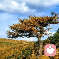 幸福本質(zhì)上是張力的解除——那種在拉扯與釋放之間的瞬間平衡。配圖