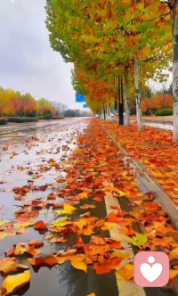 如果我們只關注內在的成長和擴容，那么每一次外在的擾動都是恩典，協助我們內觀：此刻有什么感受、想法、情緒或信念升起？他們想干嘛？分離觀照，安住本心，允許他們如是。我們自會感恩所有的擾動，協助我們回歸本質，活在中正里。配圖