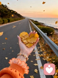 早安
环境不会改变
解决之道在于改变自己配图