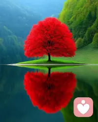 ​人生中的一切
我们都无法长久的拥有
只会是一种经历
向前走，苦才会后退。配图