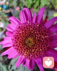 又一天运动的时刻开启配图