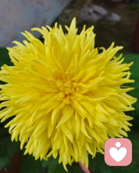 “不知不觉十月收尾了，风里已经有了冬天的味道了…时间过得真快，接下来就是落叶、下雪、跨年、你看时间等过谁”配图