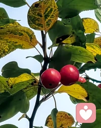 人间烟火小，清欢滋味长；不慕流光溢彩，但求日日安澜。慢煮岁月温馨暖，浅酌人生回味甜，做有灵魂的花与树，观流年，皆如故，守平静，惜惜福配图