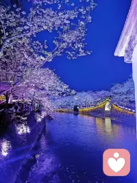 生活或许没有想象的美好，静下心来，以一颗简单的心，看待周围的一切，生活一定会给予我们很多很多。岁月深长，未来可期。愿努力生活的人穿过风雨依然灿烂，积极向上配图