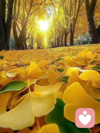 抑郁情緒的幾個原因：
1、執(zhí)著于過去，
2、完美主義，
3、缺乏運動，
4、過分注重感覺，
5、討好型人格，
6、太過善良，
7、睡眠不足，
8、鉆牛角尖，
9、認知偏差，
10、童年心理陰影！配圖