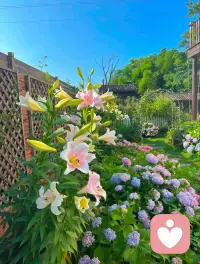 今天是12月13日，星期六，農(nóng)歷十月二十四。人生風(fēng)雨皆成景，心若向陽自生光。驟雨洗塵，晴空更澈；坎坷礪心，步履愈堅(jiān)。當(dāng)你選擇直面陰霾，靈魂自會(huì)綻放暖陽。配圖