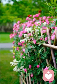 语言是家庭的温度计！
家庭中这几种话不能说：
戾气话不能说（败命）、
丧气话不能说（败运）、
怨气话不能说（败家）、
赌气话不能说（败事）、
傲气话不能说（败功）、
俗气话不能说（败相）。