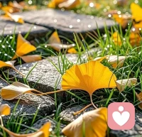 人只有一次生命，
相同的时间里，
比别人体验更多，
你就拥有更多。配图