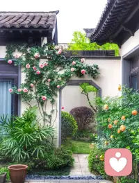 净心认为，在内心接纳和尊重每一个生命如是，让情绪自由流经，让念头自由流经，让感受、想法、认知、信念等一切生命自由流经，不分析，不对抗，不执着，只是允许，协助他们回归自由自在本身。
当内在的生命自由了，我们的心就自在了。