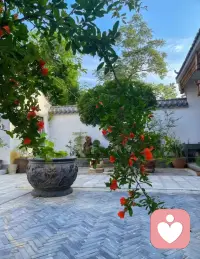 人的一生有三次生命：

第一次是出生，父母给了我们生命；
第二次是结婚，在婚姻中成长与觉醒；
第三次是生孩子，孩子让我们觉醒与成长。”

​配图