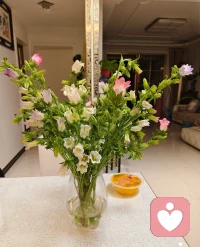 得与失皆是命运的馈赠，悲与喜都是生活的风景。走过坎坷，心自会宽，翻越高山，眼自会远。
​专注于自己脚下的路，让每一步都踏实，让每一天都安心。