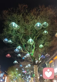 先接信号，再调频道！
弱者抱怨环境，强者创造机会。