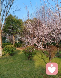 成长的力量：
行则同往，动则同路。
在任何一个行业里，做到 ：努力，深耕，专注，利他！你就会得到两个字：靠谱，你的付出和坚持终将美好。