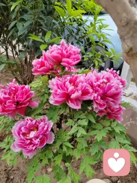 运动结束回家喽，今天路上碰到的大爷，冲我竖了个大拇指。瞬间感觉能再跑两公里，错觉，绝对是错觉。配图