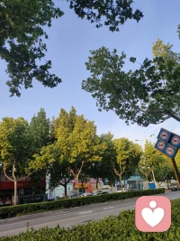 记录清晨的美好时光配图