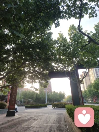 记录清晨的美好时光配图