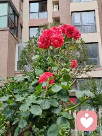 早上好
力量:
有很多种
心平气和的
那种最坚定！配图