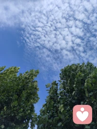 情绪是有记忆的：

     “被生活中重要的人看见、听见，会让我们感到平静与安全；而被忽视、被否定，则可能触发愤怒，甚至让人情绪崩溃。”
这是范德考克在相关研究中的观点。他提醒我们：有些情绪，身体从未忘记。
那些当下没有被理解、被安抚的感受，或许并没有真正消失，只是暂时沉入了身体。直到某个相似的场景出现，它们又以愤怒、委屈、紧绷或崩溃的方式，重新提醒我们——

我曾经受过伤，也一直渴望被看见。