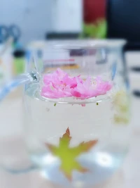 埋下一些美好的種子，許下一些美好的愿望，等待花開????配圖