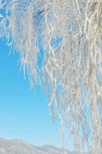 人生總會有各種缺憾，有什么關(guān)系，誰的人生是完美的，沖著過去擺擺手，明天，太陽會照常升起。配圖