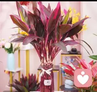 傾聽，不僅僅是聽見聲音，更重要的是感受話語背后的深情。當你真正傾聽時，你給予的是理解，收獲的是珍貴的友情。早上好??配圖