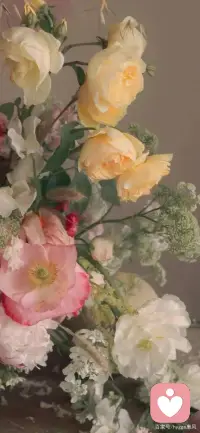 如果你心里有不想與身邊人傾訴的話，可以來找我，我來當你的樹洞，幫你消化你的負能量，帶給你一些正能量