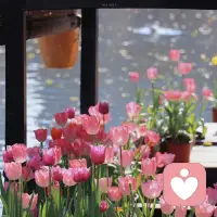 分享一個玄學真相

分手后你查看對方的頻率越高，那么你越難跟他和好。

這會影響你的磁場，你看見對方過得好，你會難過，你看對方過得不好，你也難過，對方有新歡了，你更難過。

這些情緒都在消耗你，都在讓你越來越弱，讓你的情緒越來越不穩定，對方發現你頻繁查看的動態了，也會看不起你，就是更難和好。

分手之后，誰情緒更穩定，誰就是王者。

你只需要沉淀自己，讓自己過得好，就比跟他在一起的時候過得還好。

如果你一直給他確定性，那么他很難回頭來找你，就在感情里博弈，誰能忍得住，誰才是王者。

情緒反撲是正常的，你熬過去就好了，所以一定要拋棄弱者心態。