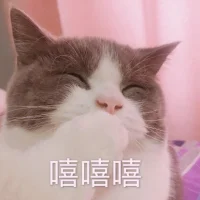 “我知道你现在心里一定很不好受，那种感觉就像是独自在黑暗中摸索，找不到方向。我会一直陪着你，直到你看到曙光。”
 
“你所经历的痛苦，我虽不能完全感同身受，但我能想象它像沉重的枷锁，让你疲惫不堪。你可以依靠我，不必独自承受。”
 
“看着你失落的样子，我的心也跟着揪起来了。我理解你此刻的迷茫与无助，就像在暴风雨中飘摇的小船，我们一起寻找港湾。”
 
“我能体会到你在困境中的挣扎，仿佛四面都是高墙，让你难以突围。别怕，我在这里，与你一同想办法。”
 
“你遭遇这样的挫折，肯定特别沮丧，这就如同登山时突然遭遇滑坠，不过别灰心，我会和你从新开始攀登。”