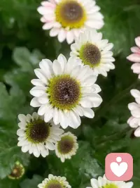 而当你面临困境与挑战时, 请记住勇气与希望永不消逝配图