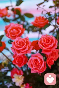 成功的关键在于自信和坚韧，是决定人生道路的关键力量。配图